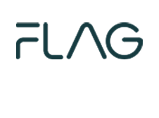 Flag 2