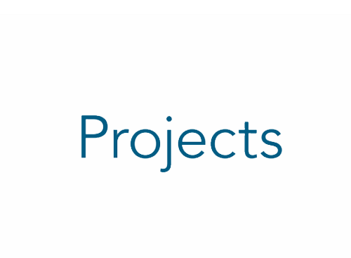 Megatrend Projects