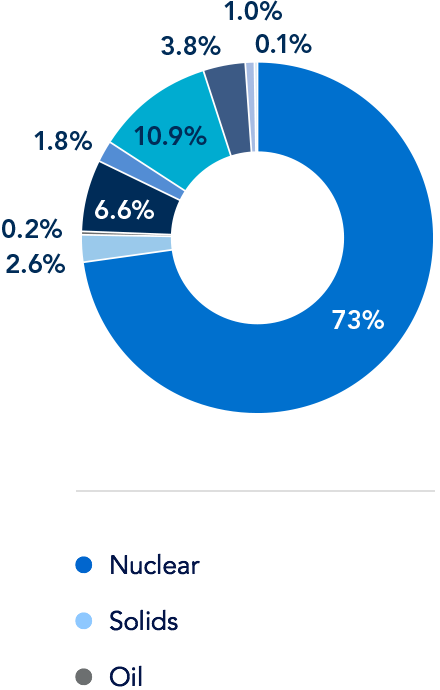 France pie chart
